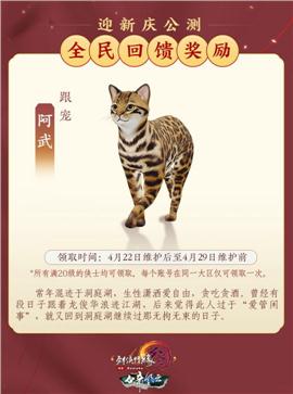 天龙八部3私服韩